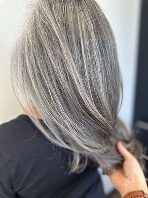 Grey blending highlights and haircut