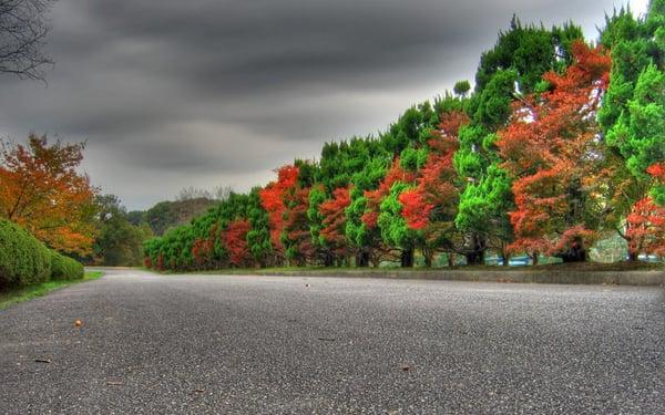 Cypress Roadside Assistance