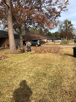 Leaf removal