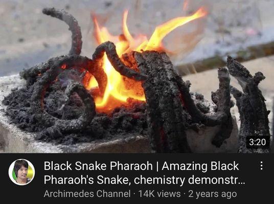 the Black Snake Pharaoh thing she did.