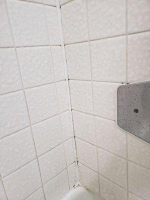 Mold and grime in the nooks and crannies of the bathroom and shower