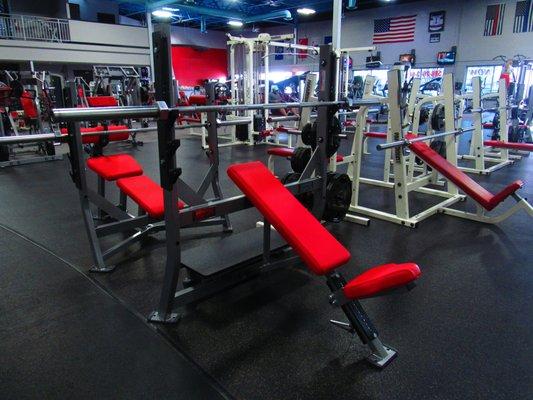 Benches For Everyone! No More Busy Chest Days...