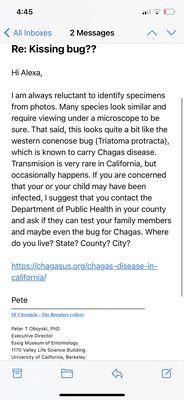 Email from Executive Director of Entomology at Berkeley -- an expert completely contradicting Dr Hong