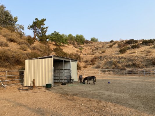 Billet Barn & Corrals