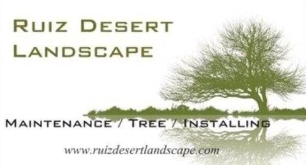 Ruiz Desert Landscape