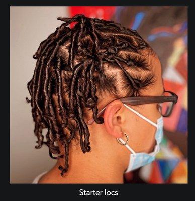 Starter Locs