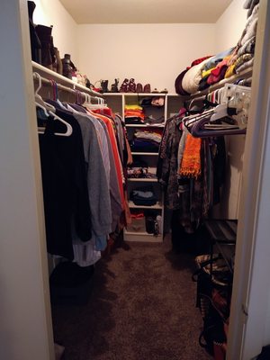 Closet Clean Out and Organization