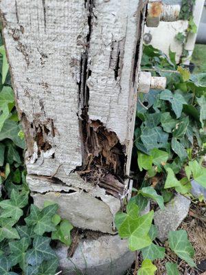 Each unit has corroding and rodent infested wood. The garages are falling apart. The unit has not been painted in over 10 years.