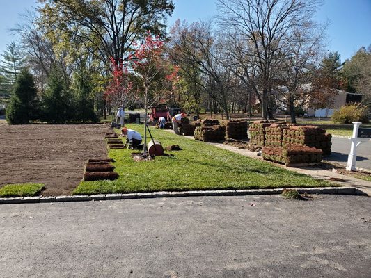 Sod installation