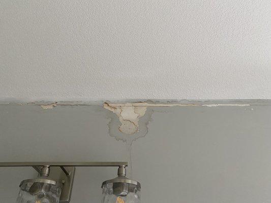 Master bathroom/Hole in roof!