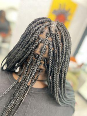 Medium Box Braids