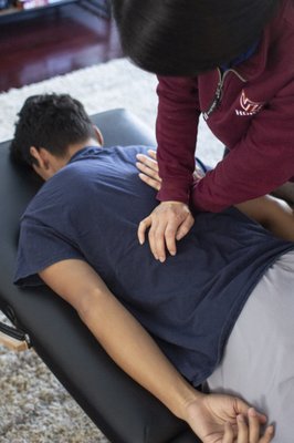 Manual therapy for low back pain