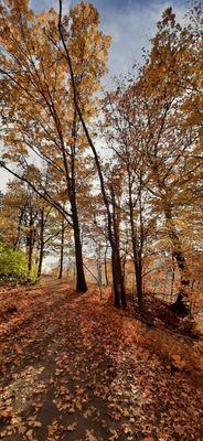 Ft Gray Overlook