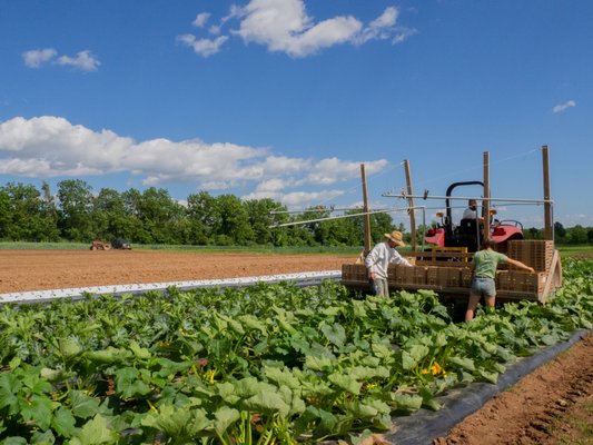 Farm crew