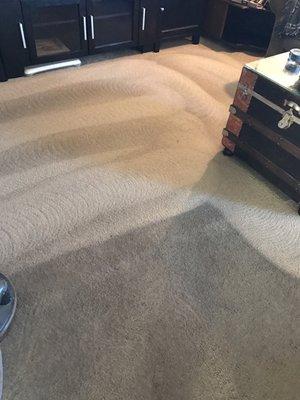 Residential carpet cleaning