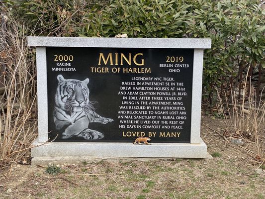 Ming