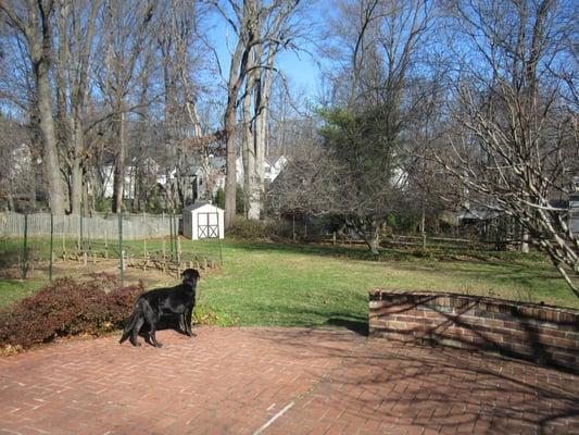 Our back yard used for boarding and day care; completely fenced.