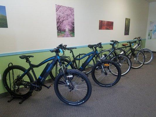 The front bikes are Magnum brand e-bikes. Also, there are Evo, XDS and Firmstrong brand bikes with our kits already installed.