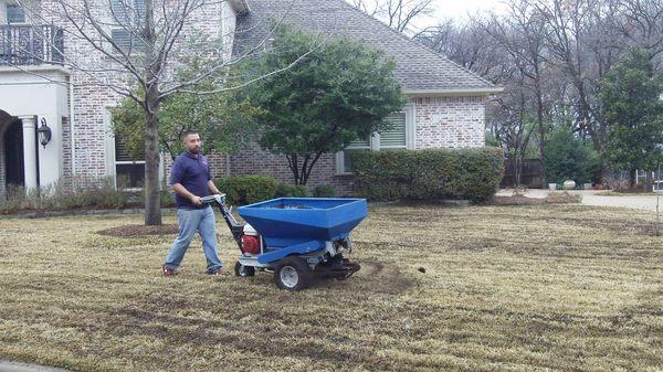 The combined services of aeration and top dressing are the best thing you can do for your lawn.