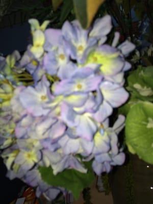 Beautiful flowers on the table in lobby.