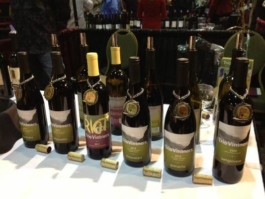 Come by and sample some of our award winning wines!