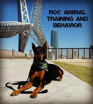 ROC Animal Training and Behavior