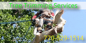 Tree trimming in Marietta GA