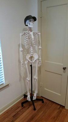 Mr. Bones is used to show patients their areas of complaint.