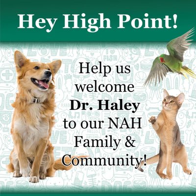 Welcome, Dr. Haley!