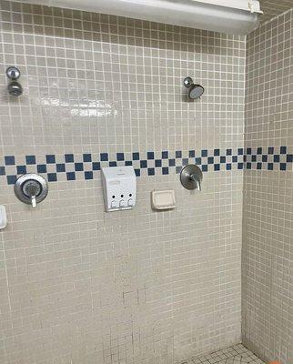 The men's locker room communal showers are always clean and have wall dispensers with soap and shampoo.