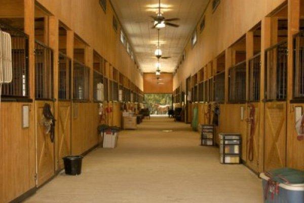 Legacy Equestrian Center