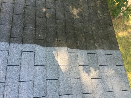 Before-After Soft Roof Treatment