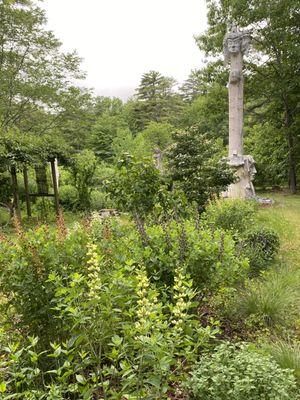 Brunel's Stella watches over the flowering Baptisia in the native pollinator bed at Brunel Park