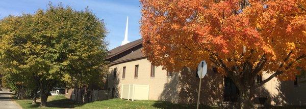 Fall view from Locust St.