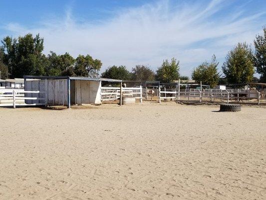 Larger 2 horse paddock with shelter and large water trough.