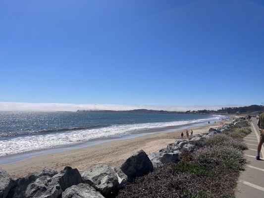 Half Moon Bay Review