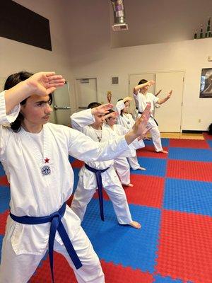 Northwest Taekwondo Academy