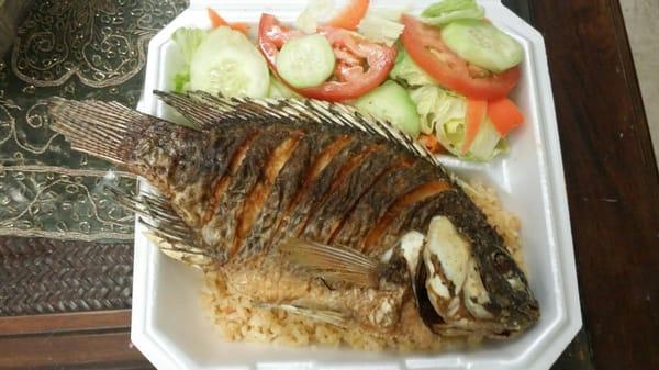 Nyam! Fish for lunch!