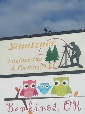 Stuntzner Engineering and Forestry