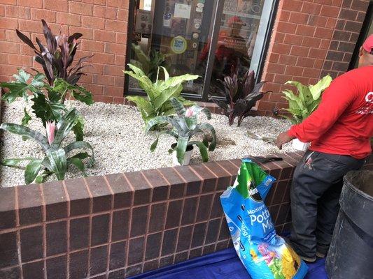 Planting flowers on the lobby