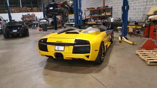 Automotive Lamborghini Got Tint ?