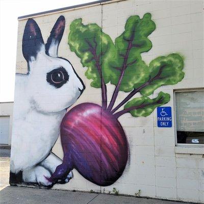 Farmer's Market Rabbits by Jules MuckRock Muck 2019