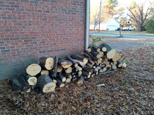 Free firewood