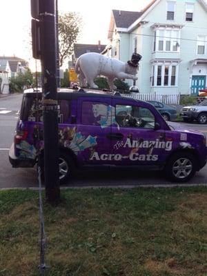 Acrocats-mobile