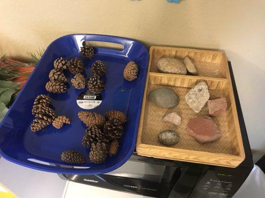 Sorting trays to go along with the theme. Natural materials are used as often as possible.