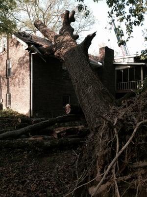 Tree damage restoration project with roofing, siding, framing, insulation, drywall, paint, molding, electrical, etc