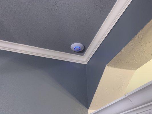 Ceiling mounted WiFi access points