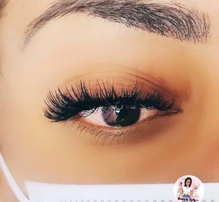 My Lash & Brows Academy