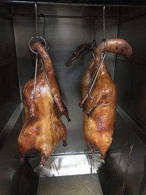 Roast duck