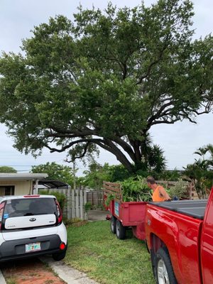 Spot Pond Tree Service